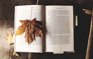 Perpustakaan
